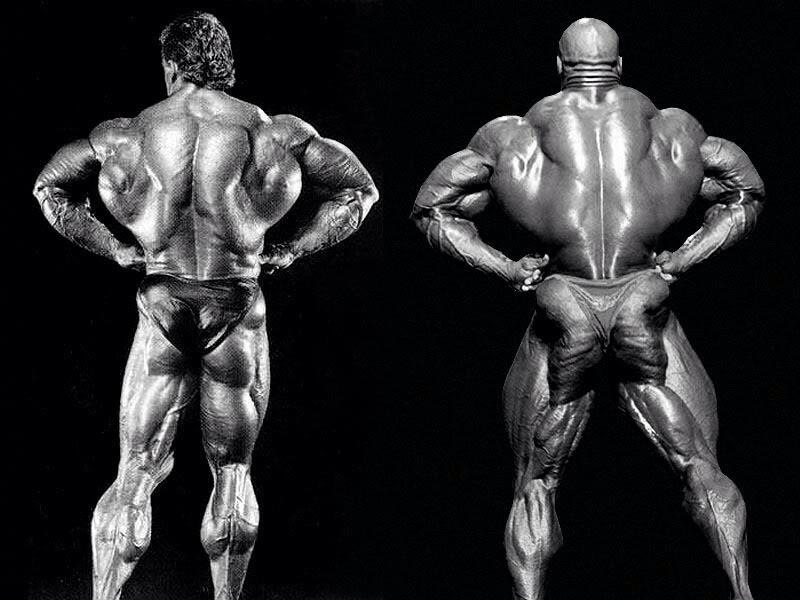 element-for-body-building